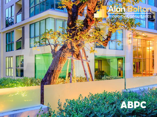 1 Bed 1 Bath Condo in Pratumnak CS8085
